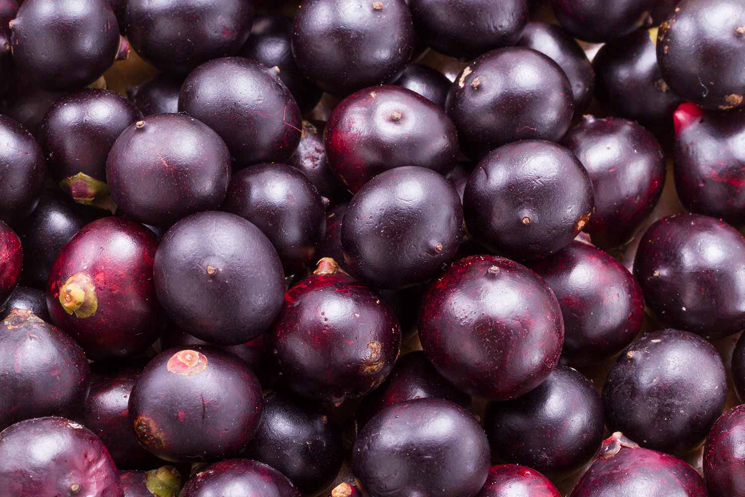 Extrato de Açaí