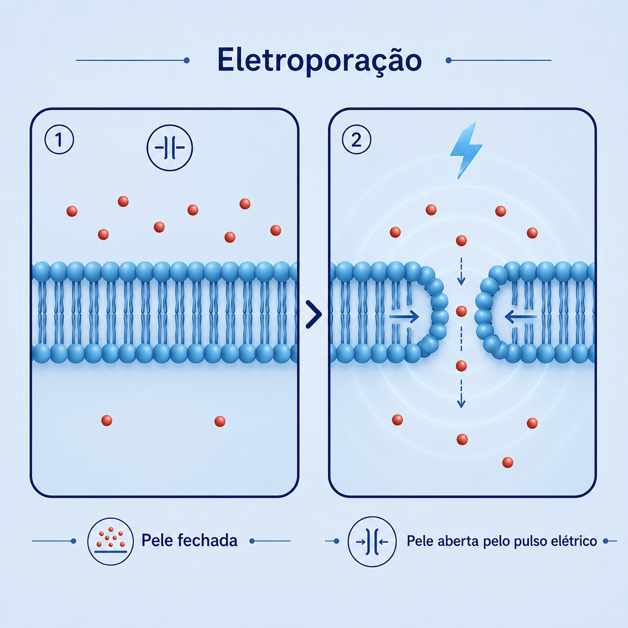 Infográfico Smart Meso Pro - mecanismo de ação da eletroporação